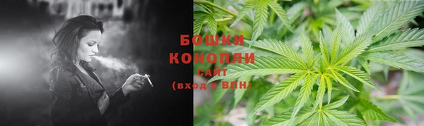 PSILOCYBIN Кодинск