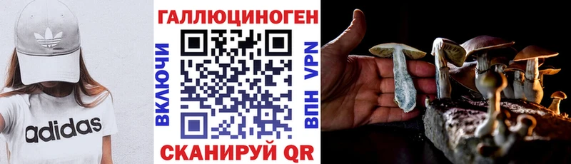 Купить закладки  Электросталь  Псилоцибиновые грибы Magic Shrooms 